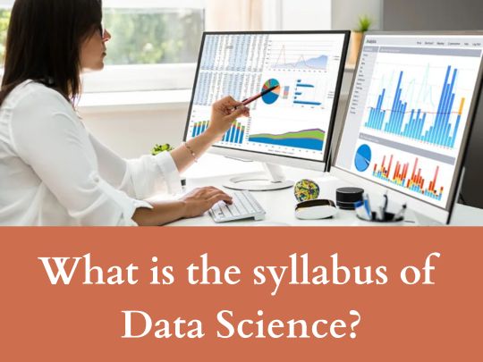 Read more about the article What is the syllabus of Data Science?
